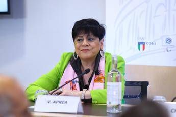 Aprea: “Constro il bullismo serve più action learning per insegnare il confronto”