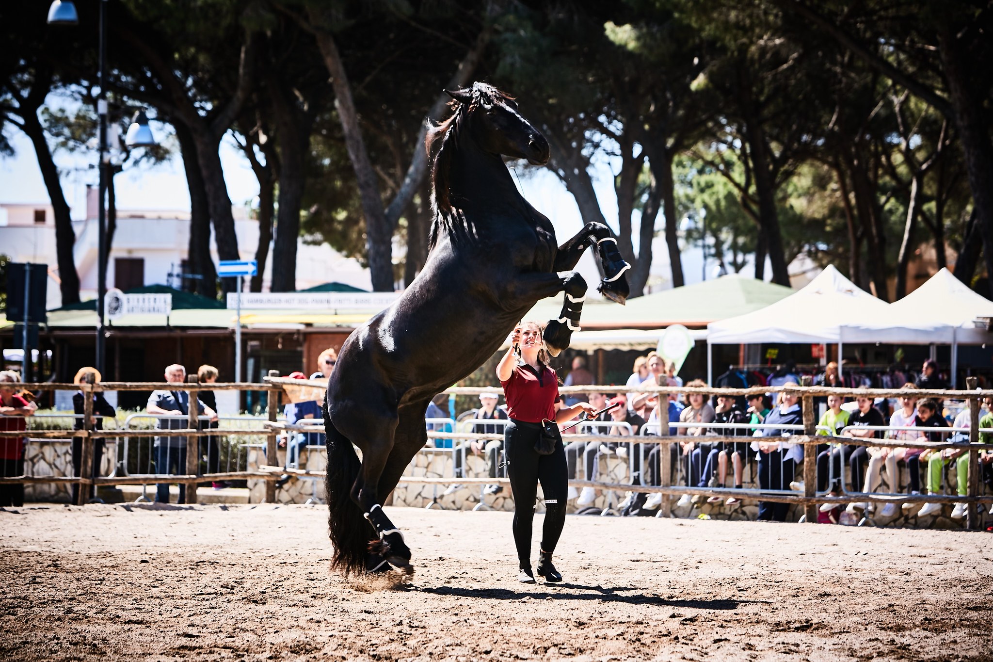 Montalto di Castro – Alla marina torna la fiera “Maremma d’aMare”