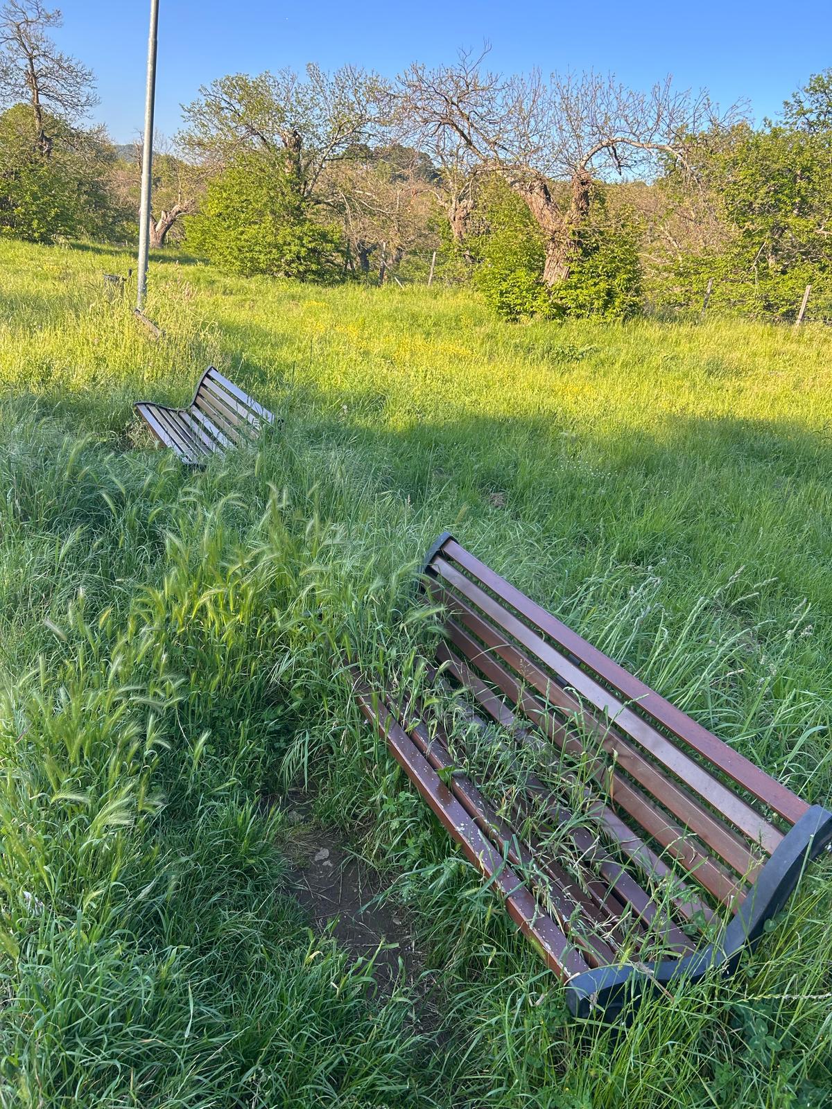 Panchine coperte dall’erba ed area giochi nel degrado: il parco Norma Cossetto a San Martino completamente abbandonato