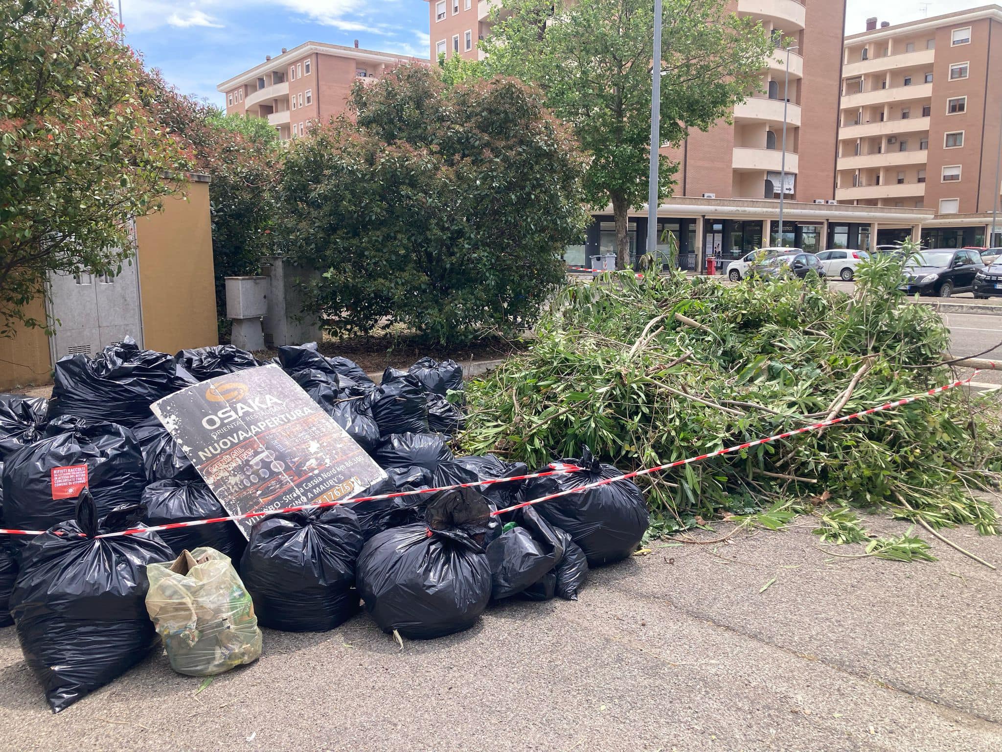 Viterbo Clean Up ripulisce il Riello: “30 buste di rifiuti raccolte nella zona universitaria” (FOTO)