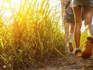 Progetto DoiMan, in Val di Sole un concorso per i turisti più gentili