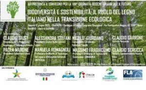 Il ruolo legno italiano in transizione ecologica, tavola rotonda con Afi e Assolegno