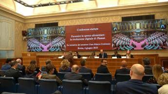 PlanEat, una piattaforma per prevenire lo spreco alimentare