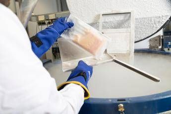 Tumori, ricostruzione seno: trapianto grasso autologo utile per pazienti e strutture