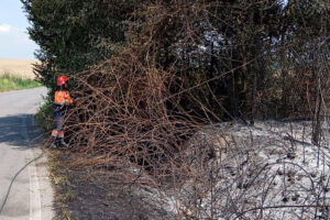 Anguillara Sabazia – Scoppia un incendio in via della Mainella, fiamme a ridosso della strada (FOTO)