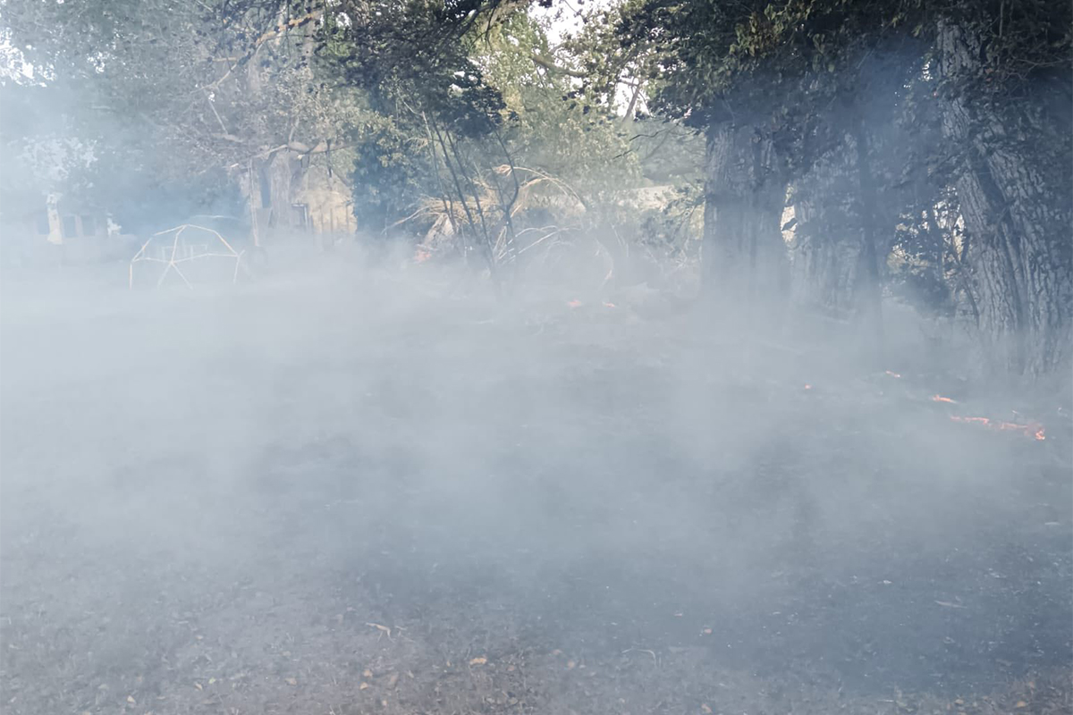 Montefiascone – Incendio in un boschetto, sono già 4 gli interventi della Protezione civile (FOTO)