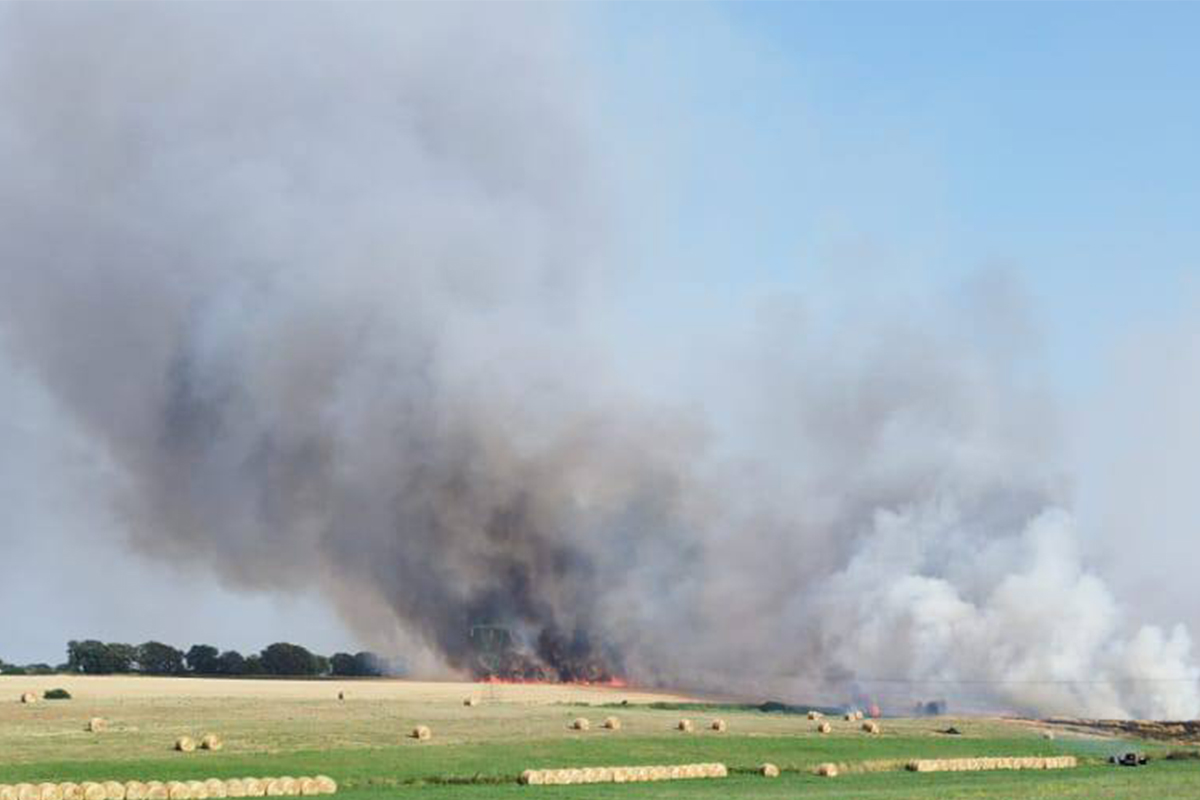 Doppio incendio tra Anguillara e Cesano, stop ai treni per 4 ore sulla Roma-Viterbo (FOTO)