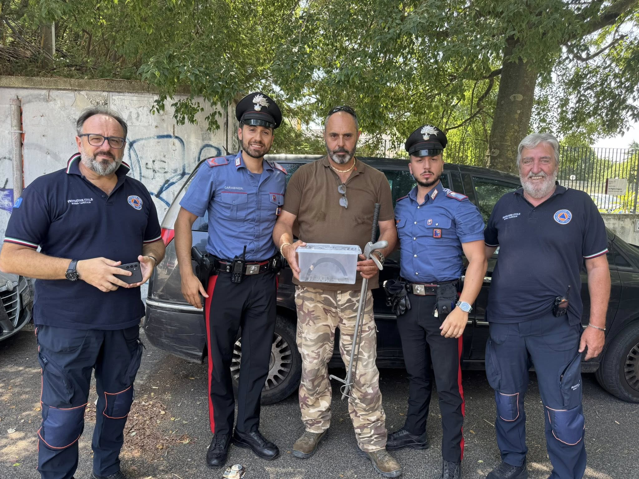 Paura in un asilo nido a Roma: vipera cade dal giardino nel cortile