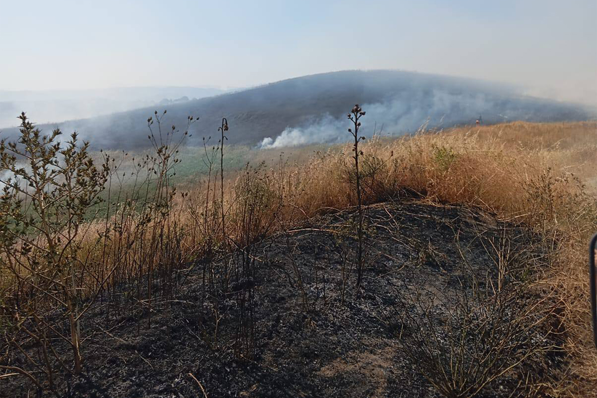 Cesano – Vasto incendio nel campo di addestramento militare, arrivano elicottero e canadair (FOTO)