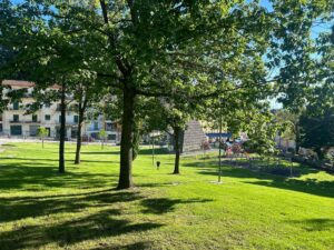 Bagnoregio – Sassi contro un’auto parcheggiata, il sindaco chiude il Parco della Rimembranza