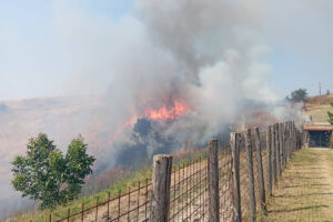 Cesano – L’incendio al campo militare riprende con il vento, elicotteri, Vigili del fuoco e volontari in azione (FOTO)