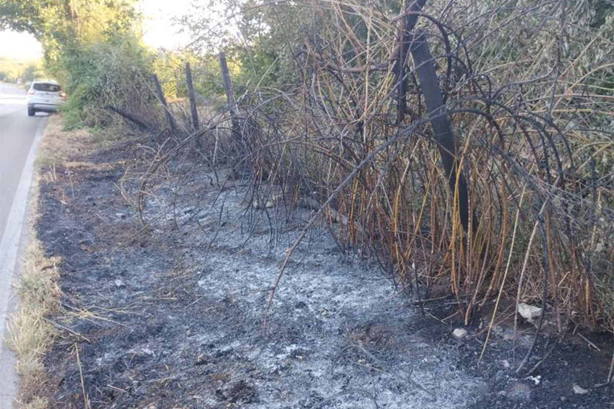 Fabrica di Roma – Incendio a bordo strada sulla Massarella, in fiamme querce e nocciole (FOTO)
