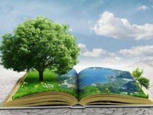 Raccontare le sfide ecologiche, i finalisti del Premio Demetra