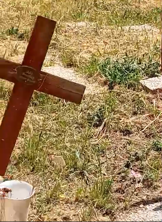 Croci piegate ed erba alta sulle lapidi: nel completo degrado il cimitero di Santa Marinella (VIDEO)