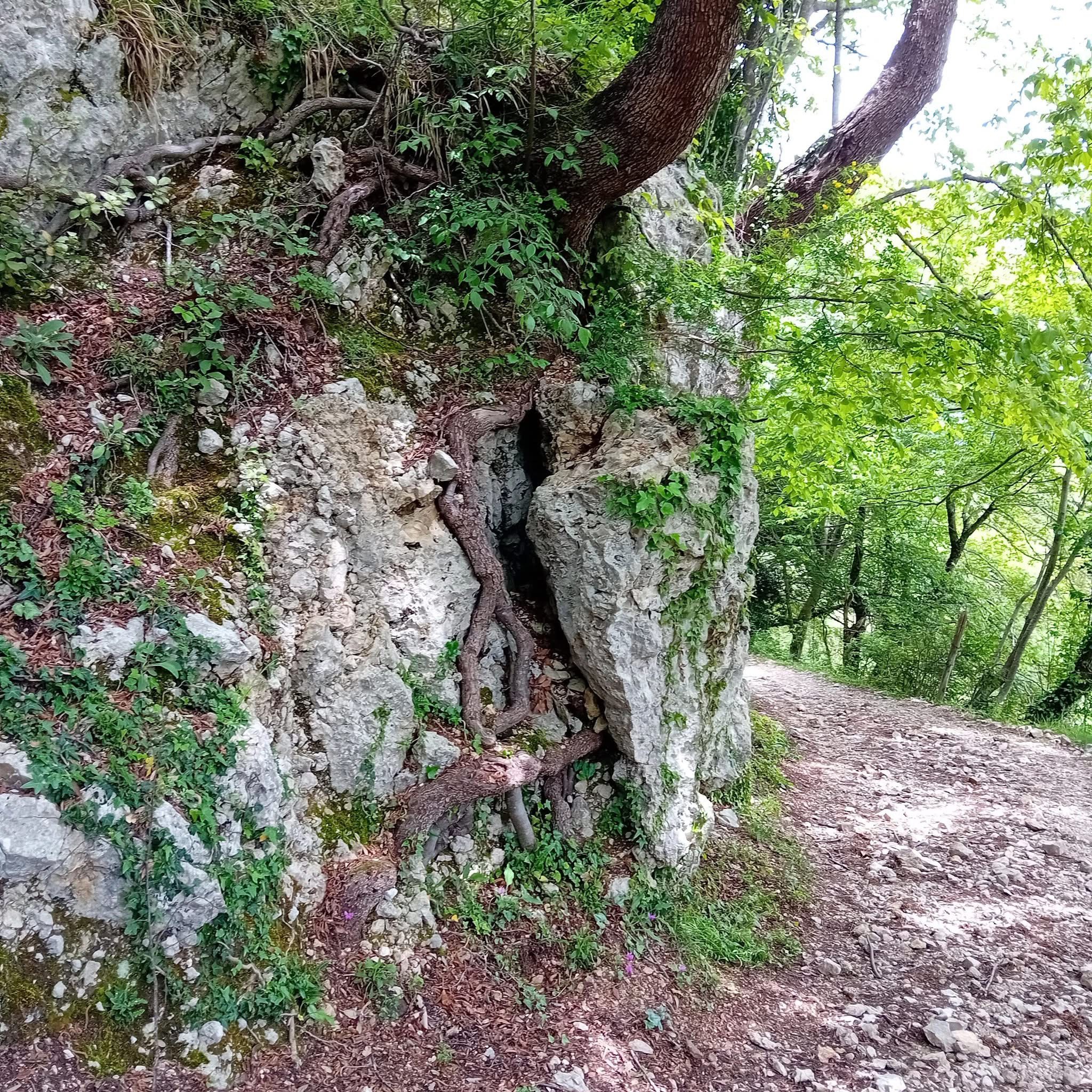 Giuliano di Roma – Escursionista ha malore e si perde sul monte, salvata da pompieri
