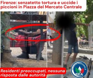 Prende a sassate i piccioni e poi gli strappa le ali: senzatetto semina il panico (VIDEO)