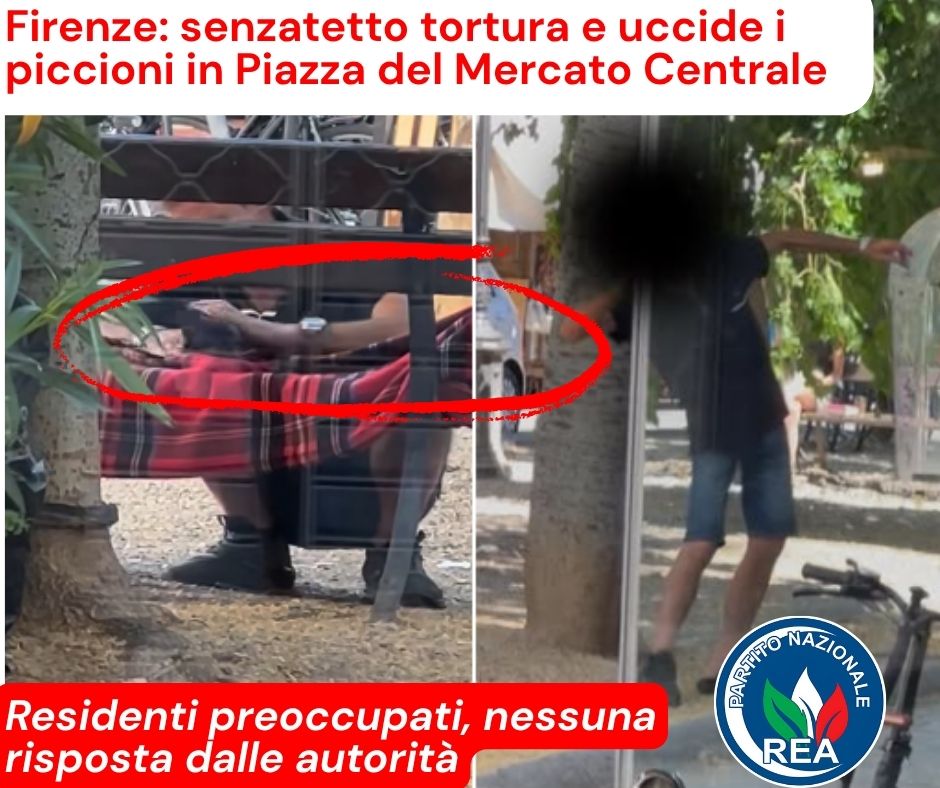 Prende a sassate i piccioni e poi gli strappa le ali: senzatetto semina il panico (VIDEO)