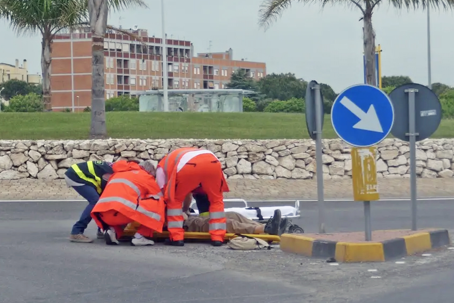 Ladispoli – Gatto sbuca all’improvviso, ciclista cade e sbatte la testa