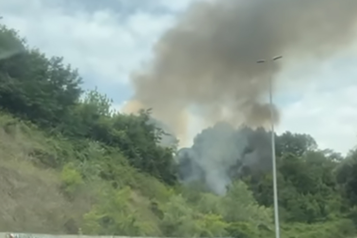 Roma – Incendio sulla collina di Monte Mario, Santori (Lega): “Amministrazione Gualtieri incapace”
