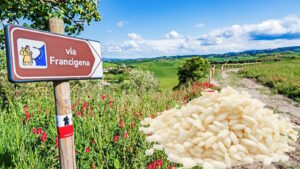 “Dalla Lomellina alla Tuscia: Il Giro d’Europa del Riso Carnaroli”