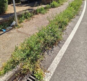 MIT, pioggia di milioni per riqualificare le strade del Lazio: brindano anche Civitavecchia e litorale, 35 su Città Metropolitana