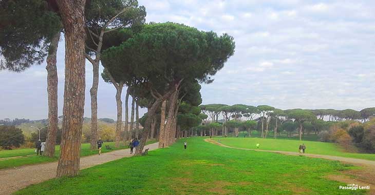 Roma – Neonata trovata morta tra i cespugli, a poca distanza anche il corpo di una donna in un sacco