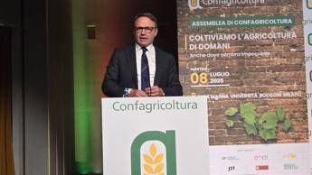 Lollobrigida: “Lavoriamo per evitare scelta folle Europa in agricoltura”