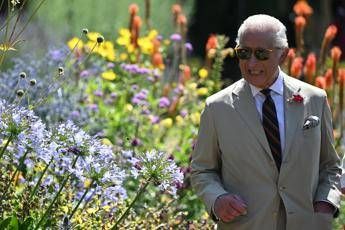 Undici giardinieri su 12 hanno lasciato Highgrove House: “Re Carlo dispotico”