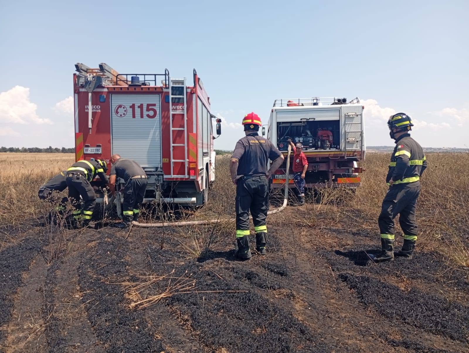 Tarquinia – Vasto incendio sulla litoranea, Vigili del fuoco e AEOPC sul posto (FOTO)