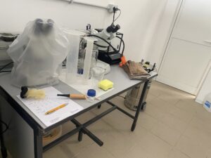 Viterbo – Agraria Unitus, il laboratorio di protezione delle piante rinasce dopo l’incendio: “Siamo tornati con le nostre forze” (FOTO)