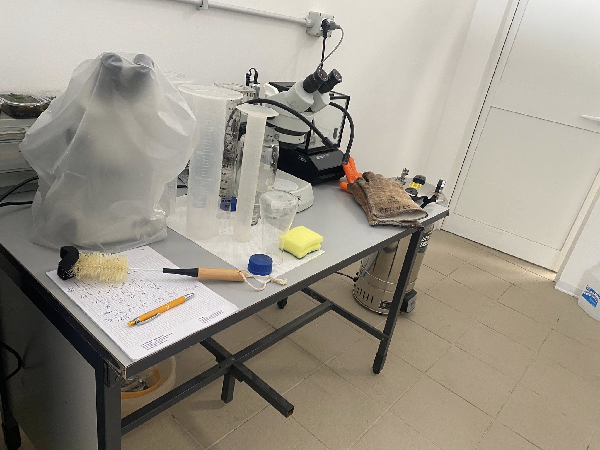 Viterbo – Agraria Unitus, il laboratorio di protezione delle piante rinasce dopo l’incendio: “Siamo tornati con le nostre forze” (FOTO)