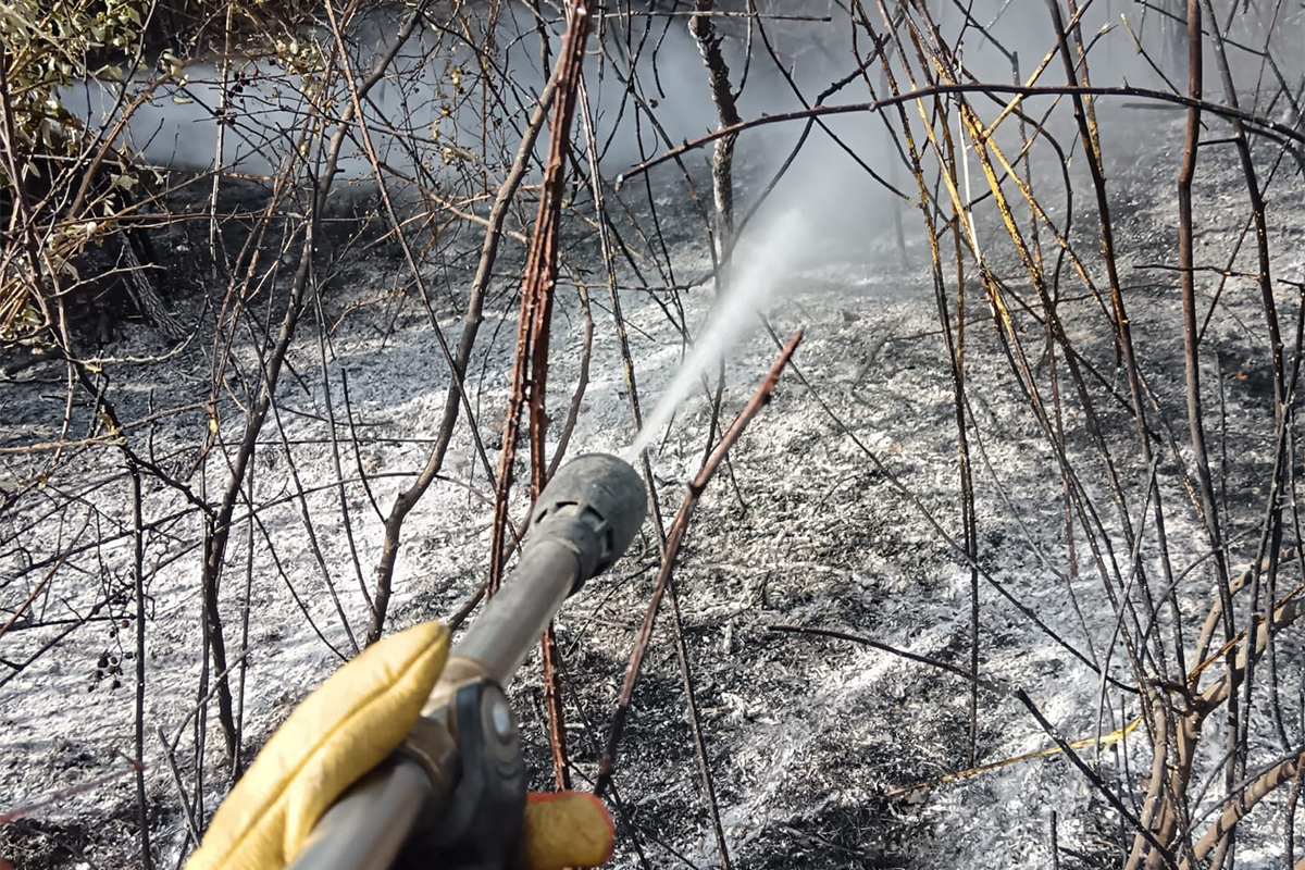 Incendio a Castiglione in Teverina, al lavoro Vigili del fuoco e Protezione civile (FOTO)