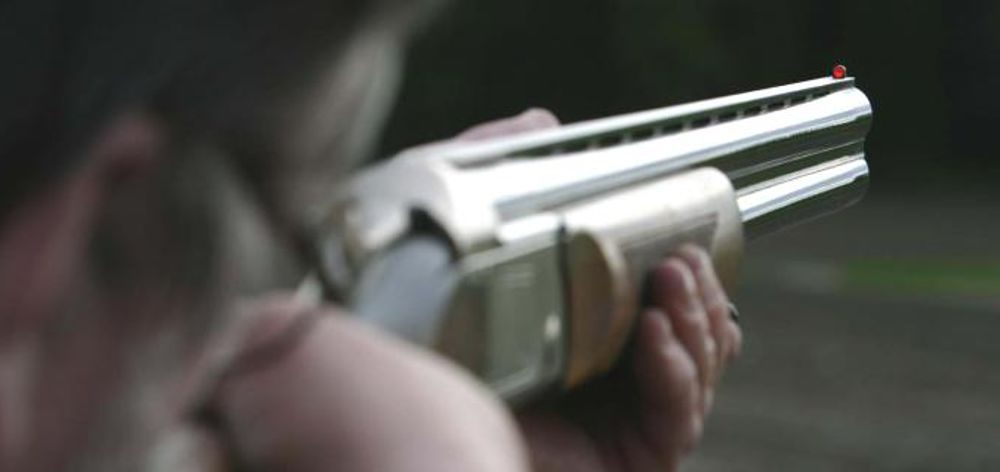 Orrore a Vignanello: ignoto spara ai gatti che vagano in località Talano