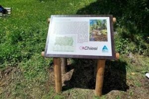 Farmaceutica, Stefano Mecchia (Chiesi Italia): “Nel Sentiero del Respiro salute e sviluppo sostenibile”