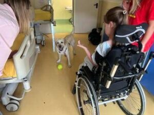 Sma, al Besta studio benefici pet therapy con Purina e Frida’s Friends