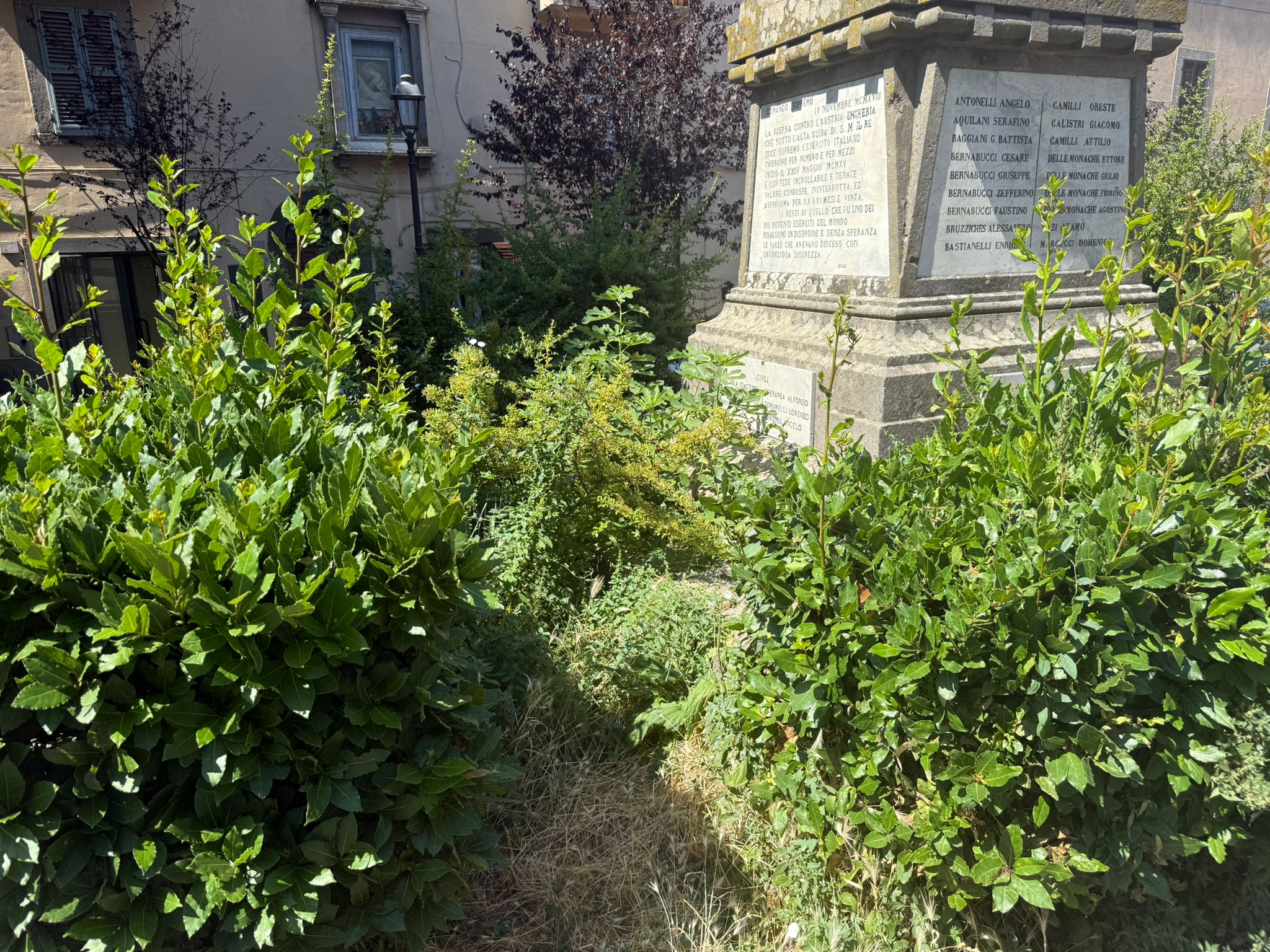 Degrado a San Martino e Tobia, Pd: “Attendiamo i lavori promessi dalla sindaca Frontini durante le elezioni”