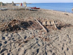 Tragedia al Porticciolo di Tarquinia: giovane scompare in mare, recuperato il corpo nella notte