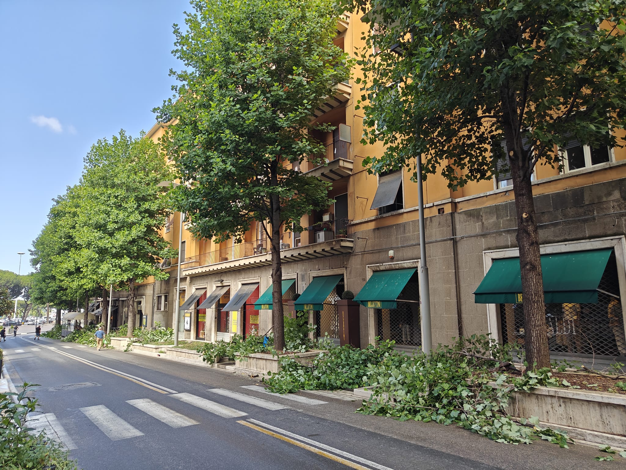 Viterbo – Al via le potature di alberi in via Marconi, occhio alla viabilità
