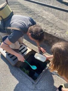 Epis (Statale Milano): “Le zanzare circolano ma la stagione è in ritardo nel Nord Italia”