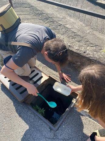 Epis (Statale Milano): “Le zanzare circolano ma la stagione è in ritardo nel Nord Italia”