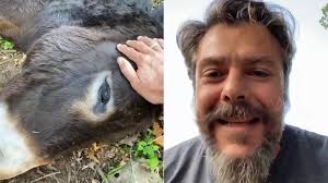 Nepi – “Da cinque anni aspetto giustizia”, l’appello dell’ex campione Lo Cicero per la sua asinella Zaira