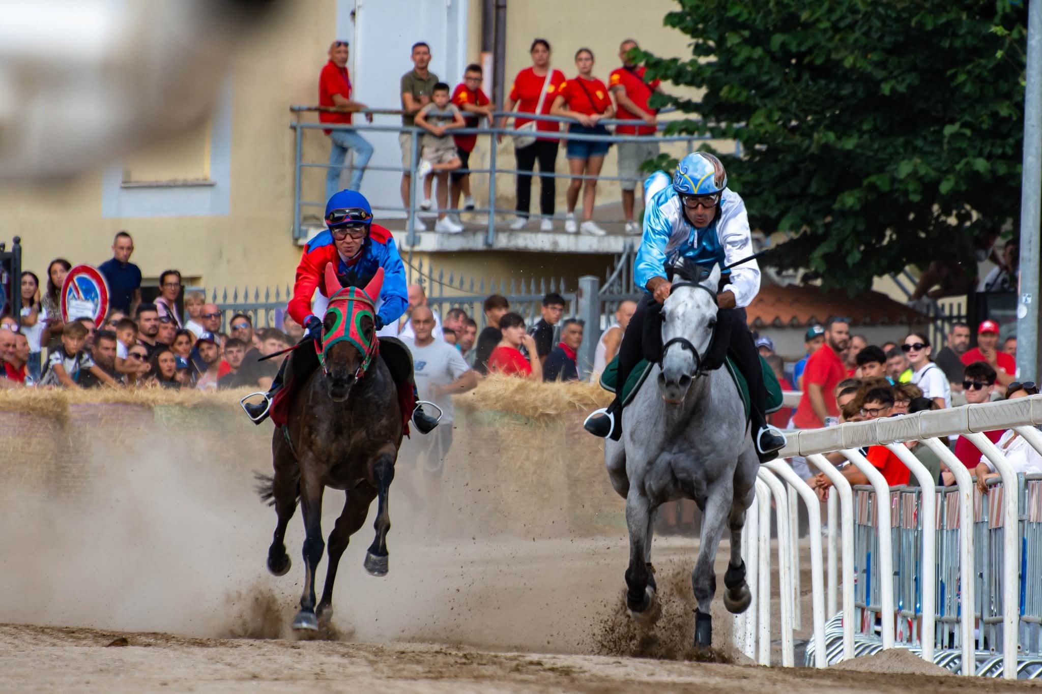 Al Drappo di Tolfa trionfa Ceommo Ramon abbinato a Tarquinia