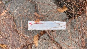 Civitavecchia – Siringhe in via Apollodoro: “Si bucano tranquillamente in centro, bisogna avere paura di poggiare i piedi a terra” (FOTO)