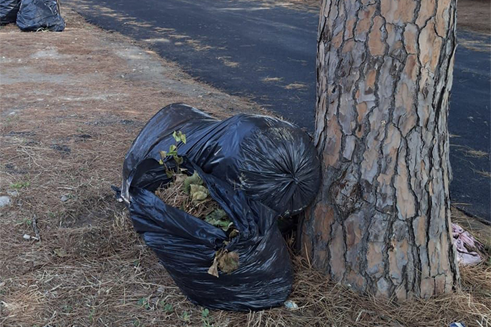 Civitavecchia – Nuovi interventi di pulizia stradale CSP, ecco il programma di settimana prossima