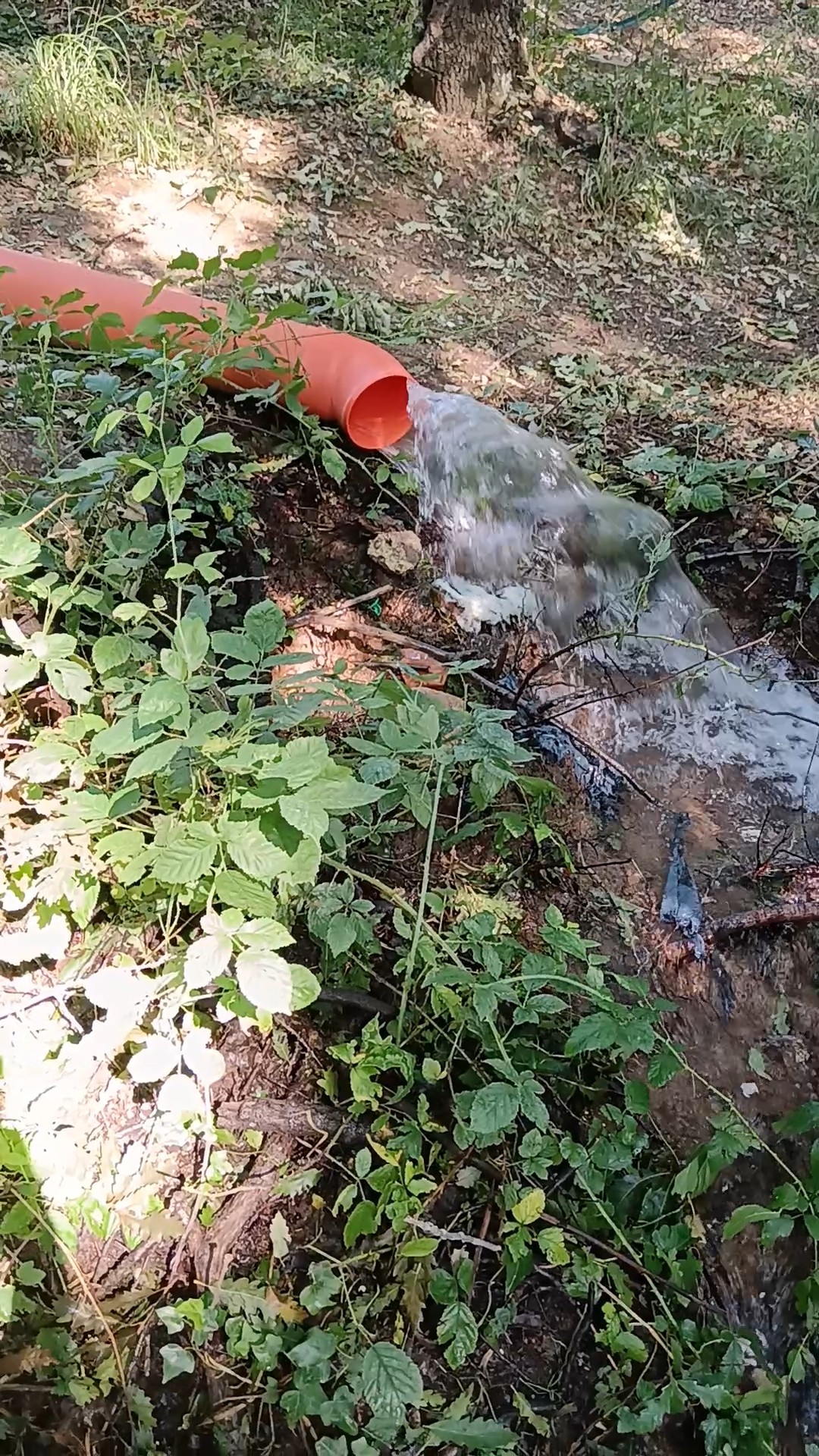 Fabrica di Roma: mentre gran parte del paese è con i rubinetti “a secco”, alla Selva copiose perdite d’acqua