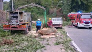 Allumiere – Enorme tronco cade sulla Braccianese Claudia, strada chiusa e disagi alla viabilità (FOTO)