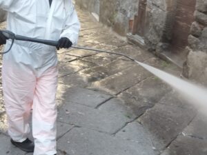 Viterbo – Disinfestazione insetticida con cipermetrina, Lav chiede che venga sospesa: “Nociva per piante e animali”