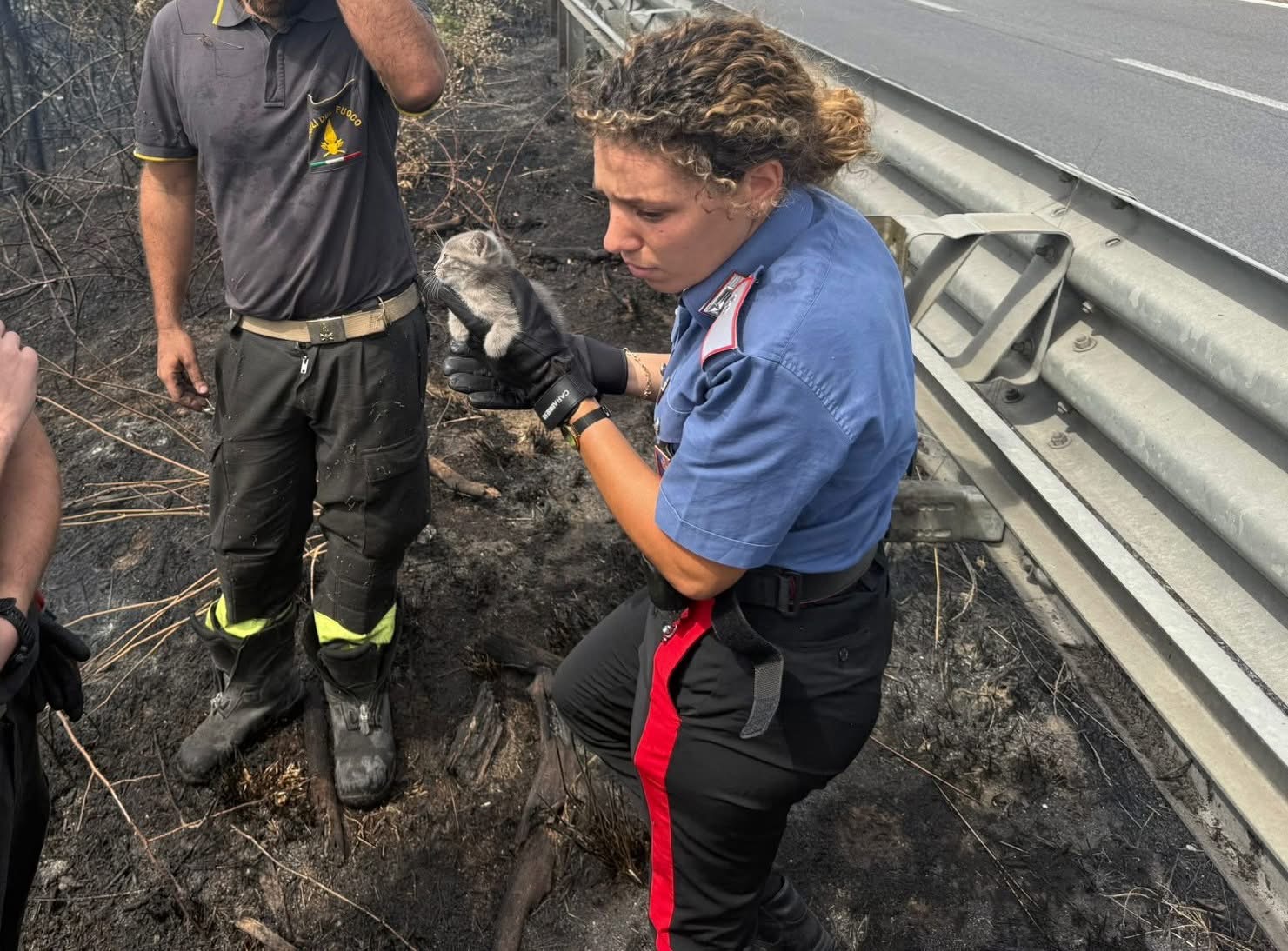 Campagnano – Incendio di sterpaglie ai margini di una carreggiata, carabinieri salvano gattino