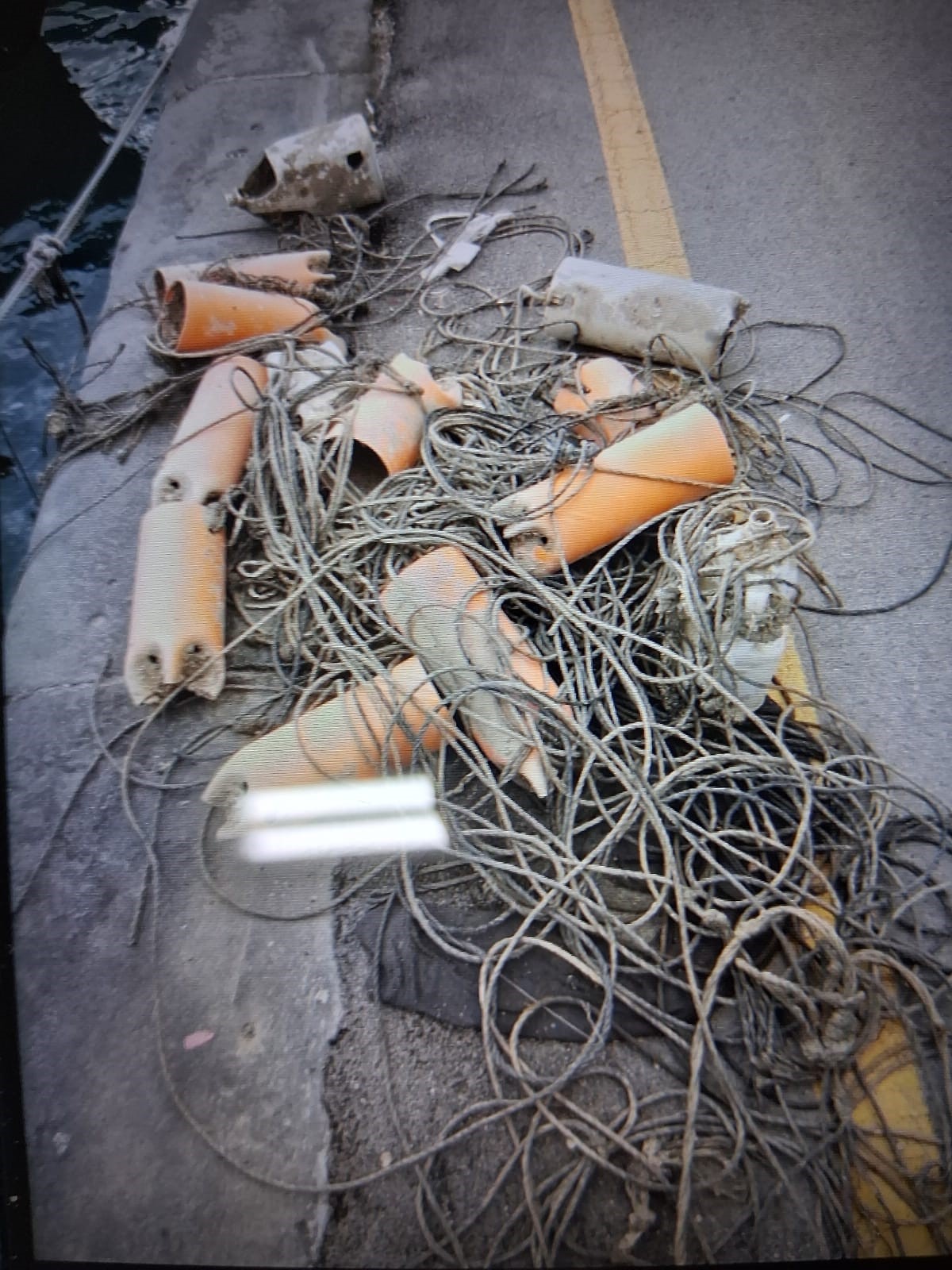 Trappole illegali, nel Golfo di Gaeta drastica diminuzione di polpi