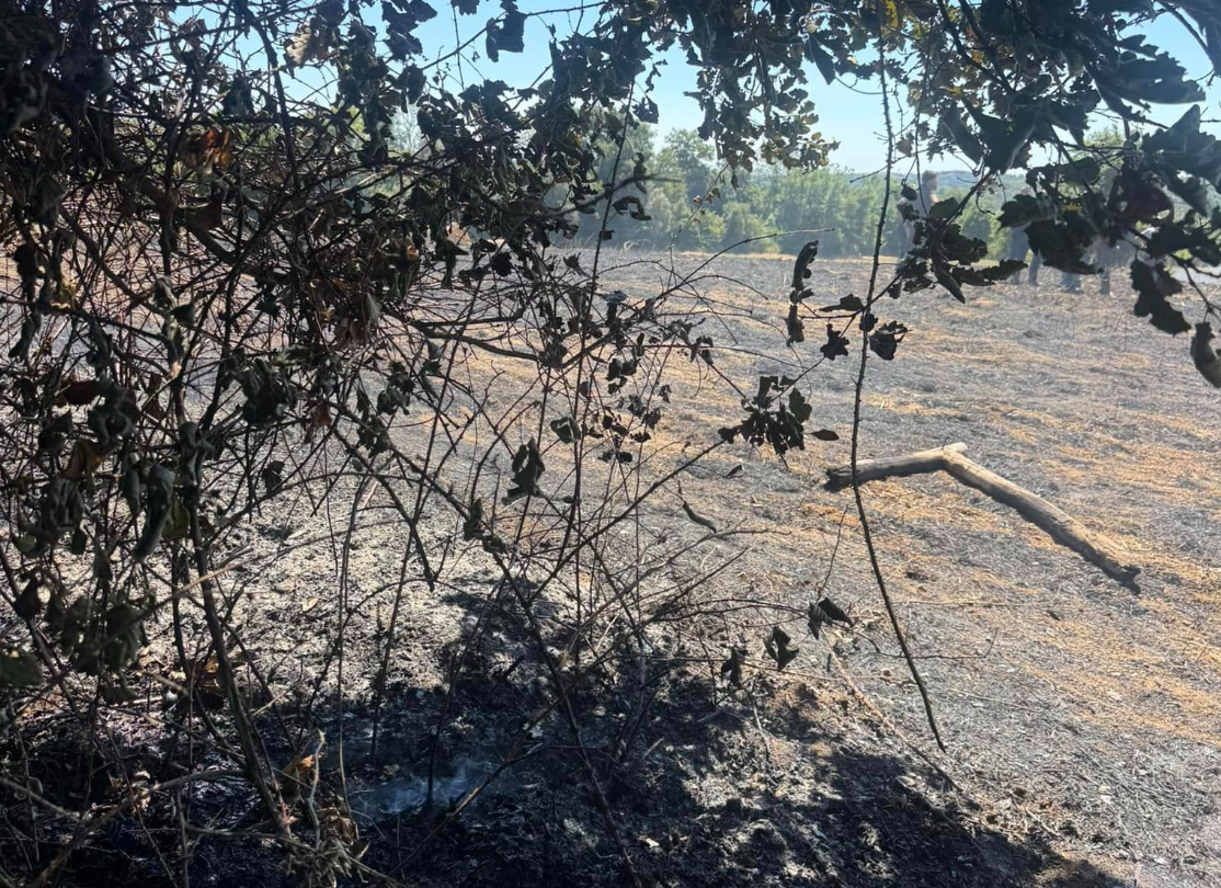 Manziana – Vasto incendio su Via Matrice, intervento lampo di vigili del fuoco e ProCiv